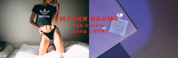 сатива Осташков