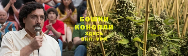 Альфа ПВП Валдай