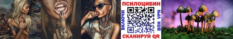 Псилоцибиновые грибы мицелий  Юрьев-Польский 