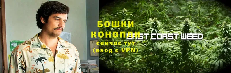 магазин продажи наркотиков  Юрьев-Польский  Канабис THC 21% 